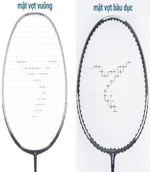 Đọc hiểu 8 thông số trên vợt cầu lông và tư vấn lựa chọn vợt phù hợp